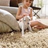 Tapete Peludo Living Areia 1,50x2,00M - São Carlos - 1