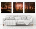 Ver imagem 1 de Quadro Decorativo 195x64cm Bosque Pickup Antinga Quarto Sala