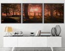 Ver imagem 1 de Quadro Decorativo 195x64cm Bosque Pickup Antinga Quarto Sala