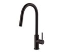 Ver imagem 1 de Torneira Cozinha Monocomando Gourmet Black 50cm Extensível Wj-10616-291-h