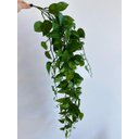 Ver imagem 1 de Folhas Verdes Pendente Jiboia Decorativo Planta Artificial Único