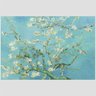 Quadro Van Gogh Amendoeira Em Flor Vinil Moldura Preta 45X30Cm - 2