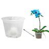 500 VASOS ORQUIDEA BROMELIA TRANSPARENTE ATACADO 1000ML - 3