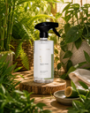 Ver imagem 3 de Água Perfumada para Roupas Acqua Aroma Dia a Dia 500ml Bambu Chinês