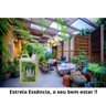 Essência de Eucalipto Natural Sauna 1 Litro Estrela 02 Und - 11