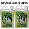 Essência de Eucalipto Natural Sauna 1 Litro Estrela 02 Und - 2