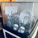 Ver imagem 6 de Lava Louças Praxis Portátil Llpp Semi-automática Branco