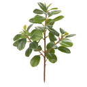 Ver imagem 1 de Folhagem Artificial Clúsia C/coat Real Toque X29 Verde 33cm