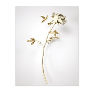 Quadro Decorativo Floral Foto, Tela em Canvas ideal para  Sala , Quarto e Hall de entrada(100x70 cm)