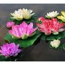 Ver imagem 2 de Kit 36 Flor De Lótus Vitória Régia Flutuante Aquática Tam P
