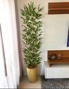 Ver imagem 2 de 4 Galhos Bambu Artificial da Sorte Grande Realista Sala 2.0m