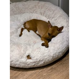 Cama Nuvem para Pets Cachorros e Gatos Luxo G 70x70:Branco com Azul - 9