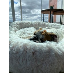 Cama Nuvem para Pets Cachorros e Gatos Luxo G 70x70:Branco com Azul - 8