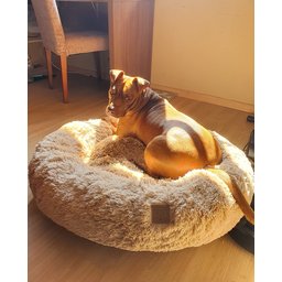 Cama Nuvem para Pets Cachorros e Gatos Luxo G 70x70:Branco com Azul - 5