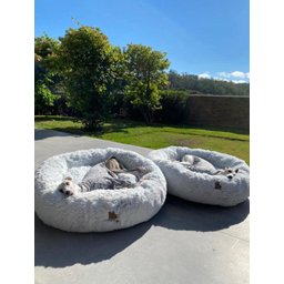 Cama Nuvem para Pets Cachorros e Gatos Luxo G 70x70:Branco com Azul - 11