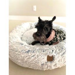 Cama Nuvem para Pets Cachorros e Gatos Luxo G 70x70:Branco com Azul - 12