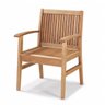 Cadeirão em Madeira Maciça com Braços Primavera  - 1