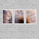 Ver imagem 1 de Kit 3 Quadros Complementares Dente De Leão 45x34cm - com vidro:Madeira branca