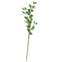 Ver imagem 1 de Planta Artifical Permanente 98cm