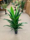 Ver imagem 7 de Planta Artificial Dracena Toque Real Premium Decoração 1.40m