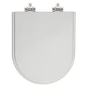 Ver imagem 1 de Assento Sanitário com Amortecedor Nuova Cinza para Vaso Deca