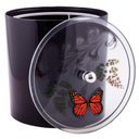 Ver imagem 3 de Tampa de Vaso e Lixeira Decorada Borboleta Preto