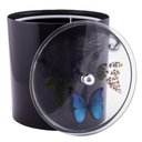 Ver imagem 3 de Tampa de Vaso e Lixeira Decorada Borboleta Preto