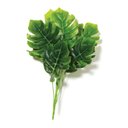 Ver imagem 1 de Planta Permanente Estilo Costela de Adao 37cm
