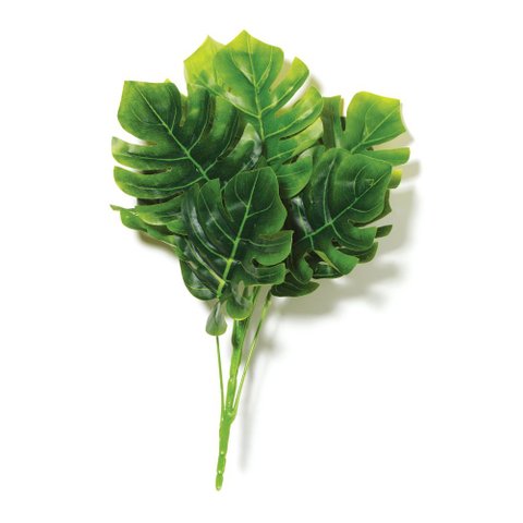 Planta Permanente Estilo Costela de Adao 37cm