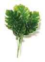 Ver imagem 1 de Planta Permanente Estilo Costela de Adao 37cm
