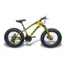Bicicleta Fat Bike Aro 20 Pneus 4.0 Freios a Disco - Dourada - 1