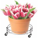 Ver imagem 3 de SUPORTE BOTIJÃO MULTIUSO CROMADO DULER