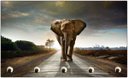 Ver imagem 3 de Porta Chaves Elefante Animais Cozinha Salas Decorações Chaveiros