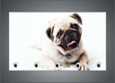 Ver imagem 1 de Porta Chaves Cão Pug Pet Shop Animais Salas Decorações Organizador Chaveiros