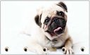 Ver imagem 3 de Porta Chaves Cão Pug Pet Shop Animais Salas Decorações Organizador Chaveiros