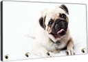 Ver imagem 2 de Porta Chaves Cão Pug Pet Shop Animais Salas Decorações Organizador Chaveiros