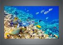 Ver imagem 2 de Porta Chaves Peixes Aquários Animais Salas Decorações Organizador Chaveiros