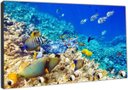 Ver imagem 3 de Porta Chaves Peixes Aquários Animais Salas Decorações Organizador Chaveiros