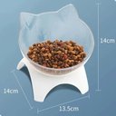 Ver imagem 5 de Comedouro Bebedouro Elevado Gatos Lorben Ergonômico Alto Individual Azul