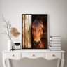 Quadro Decorativo Fotografia Cavalo na Baia 33x24cm - com Vidro:madeira Preta - 2