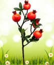 Ver imagem 2 de Kit 10 Plantas Fruta Romã Artificial Natal Decoração de 60cm