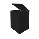 Ver imagem 5 de Porta Ração Caixa com Rodízios Pet Armazenar até 25 Kg Preto