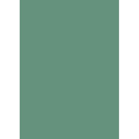Papel de Parede Botânica 81239