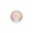 Ver imagem 2 de Lâmpada Led Stella Dicroica Mr16 Evo 6w Gu10 Alto Irc 95 Bivolt