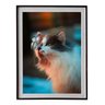 Quadro Decorativo Fotografía De Gato Com Moldura E Vidro - 1