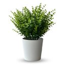 Ver imagem 7 de Kit 12 Galhos Planta Artificial Haste de Eucalipto Cor:verde