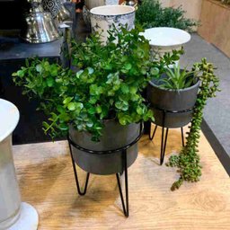 Kit 10 galhos de plantas decorativas eucaliptos artificiais Cor:Verde - 3