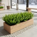 Ver imagem 5 de Kit 10 Galhos de Plantas Decorativas Eucaliptos Artificiais Cor:verde