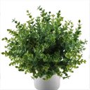 Ver imagem 3 de Kit 5 galhos de folhagem eucalipto artificial para enfeite Cor:Verde