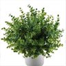 Kit 5 galhos de folhagem eucalipto artificial para enfeite Cor:Verde - 3